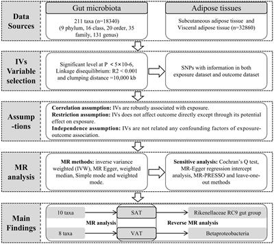 Causal relationship between gut microbiota with subcutaneous and visceral adipose tissue: a bidirectional two-sample Mendelian Randomization study